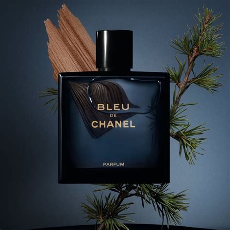 chanel le bleu parfum herren|bleu de chanel cheapest price.